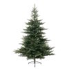 Novogodišnja jelka Grandis fir 240cm-162cm