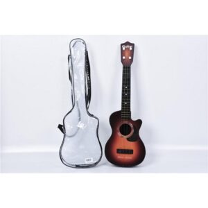 Gitara sa torbom 012620