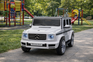 Mercedes Benz G500 model 289 beli