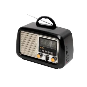 Prenosni radio Sal 4u1 RRT2B