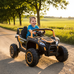 Bagi UTV na akumulator narandzasti 2201