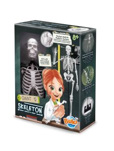 Skelet - Buki