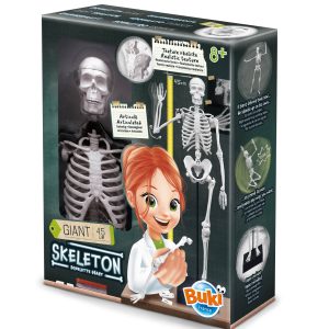 Skelet - Buki