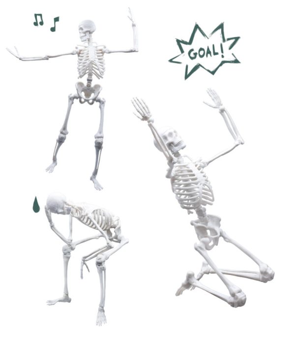 Skelet - Buki - Image 7