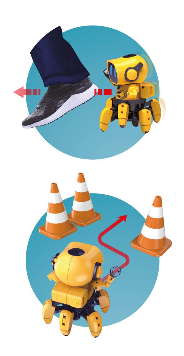 Robot Tibo - Buki - Image 2