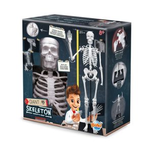 Skeleton 85cm 104919 BUKI